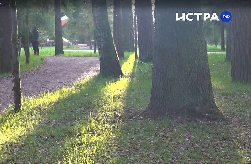 Ежегодное содержание территории лесопарка «Соколиная гора» обойдётся бюджету в 65 миллионов