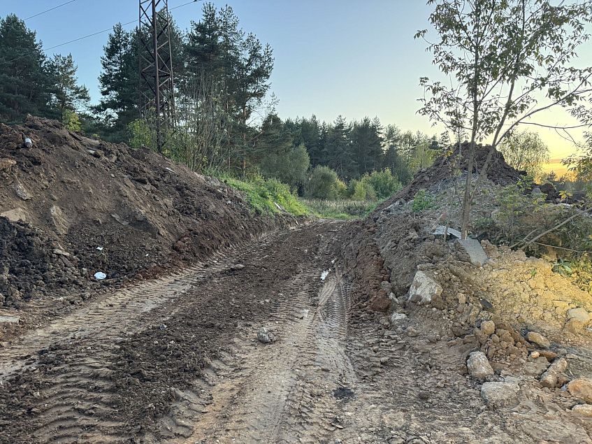 Дедовчане обеспокоены уничтожением леса вблизи Массовки