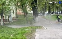Периодичность летних уличных работ озвучили в администрации