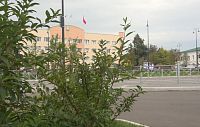 В регионе прогнозируют первый класс пожарной опасности 