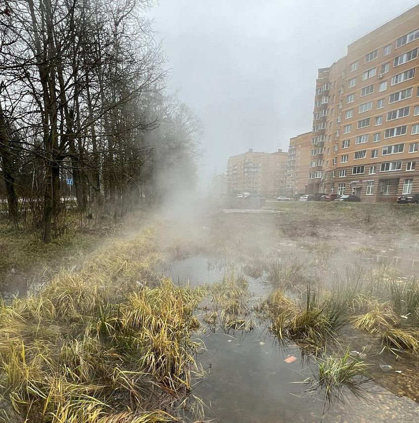 Новые Снегири окутал туман