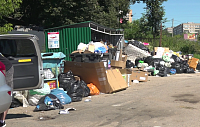 На ликвидацию стихийных свалок в Истринском округе заложили на треть меньше прежнего