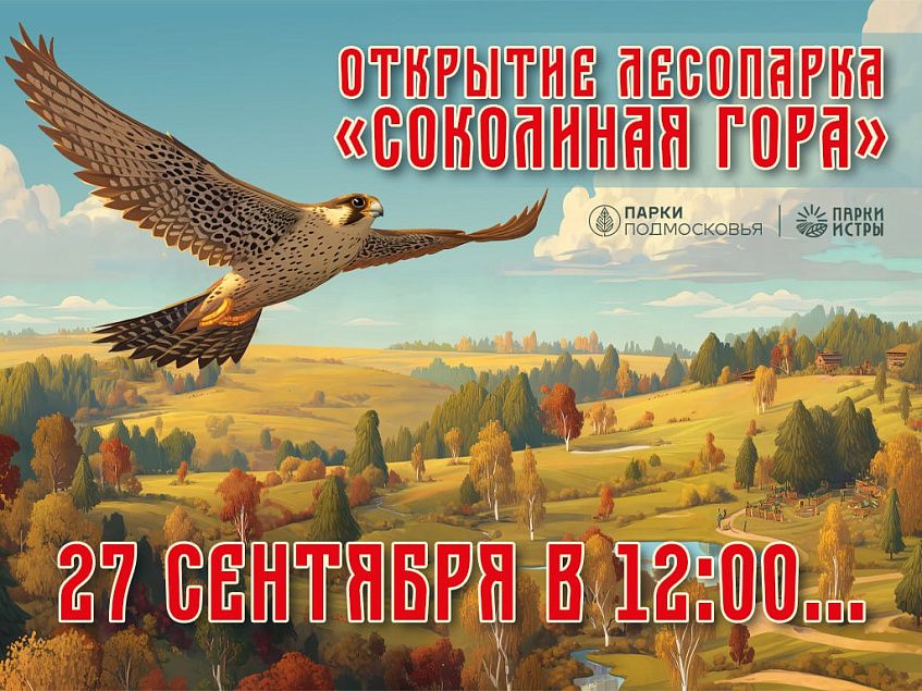 Лесопарк «Соколка» торжественно откроют в ближайшую субботу