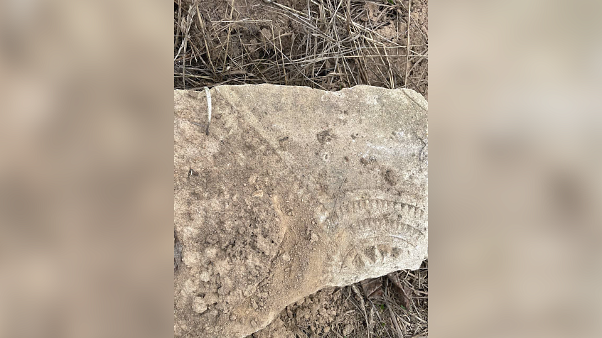 Случайная находка в Лужках раскрыла многовековую историю древнего некрополя