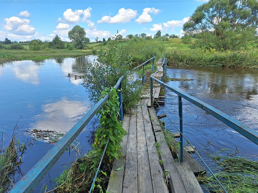 Людмила Тодд: «Не мост, а самострой, на балансе не числится»