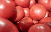  Овощи в торговых сетях напомнят о правилах дорожного движения