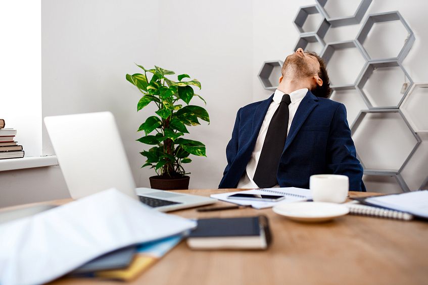 В Дирекции парков Истры новый руководитель