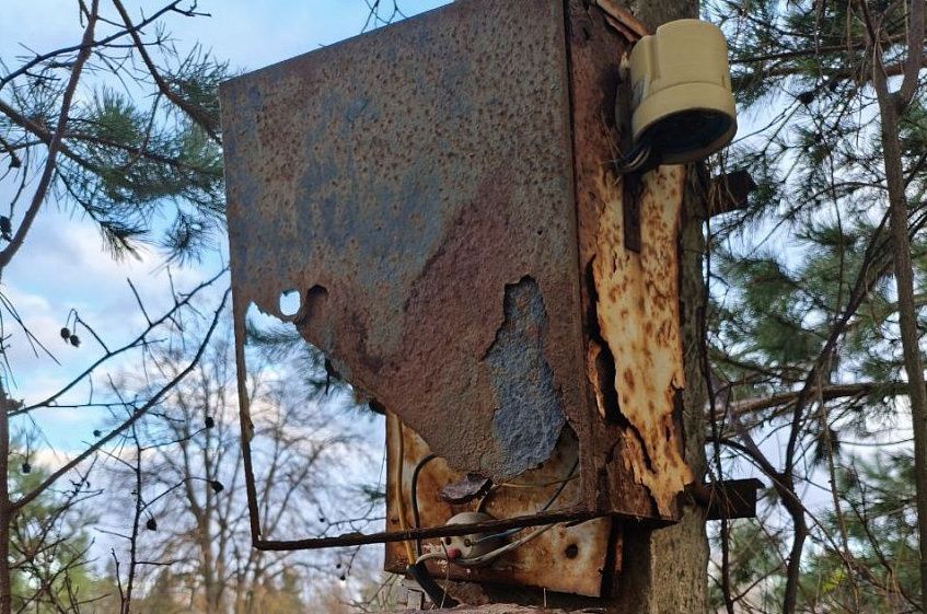 Татьяна Витушева рассказала о модернизации электросетевого хозяйства 