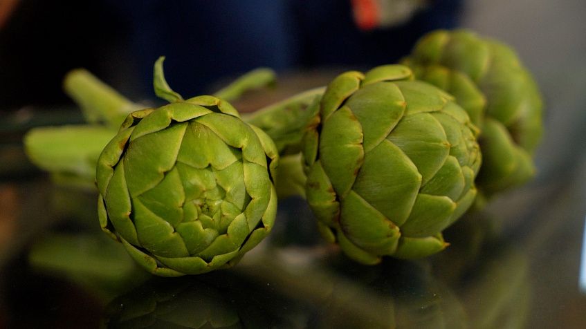 Победитель конкурса «Чудеса урожая» рассказала, как вырастила артишоки и момордику в центре Истры