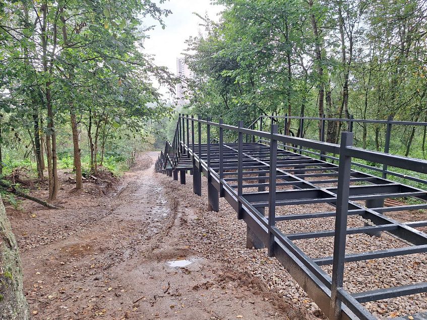 Огромную лестницу соорудили для гостей лесопарка «Соколка»