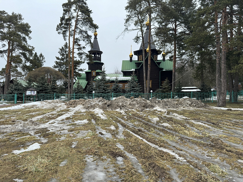 Вслед за соснами в Снегирях уничтожается газон