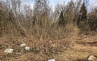 Неизвестные выкинули химические отходы у леса вблизи Мансуровского карьера