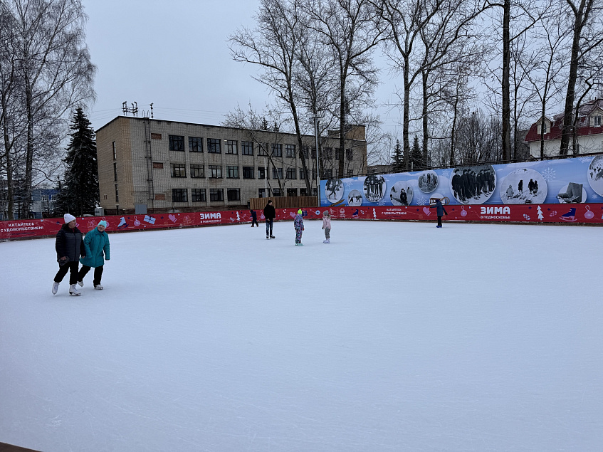 Ледовое шоу в Дедовске: исполнители уже известны? 
