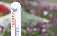 Температура воздуха поднимется до рекордных отметок