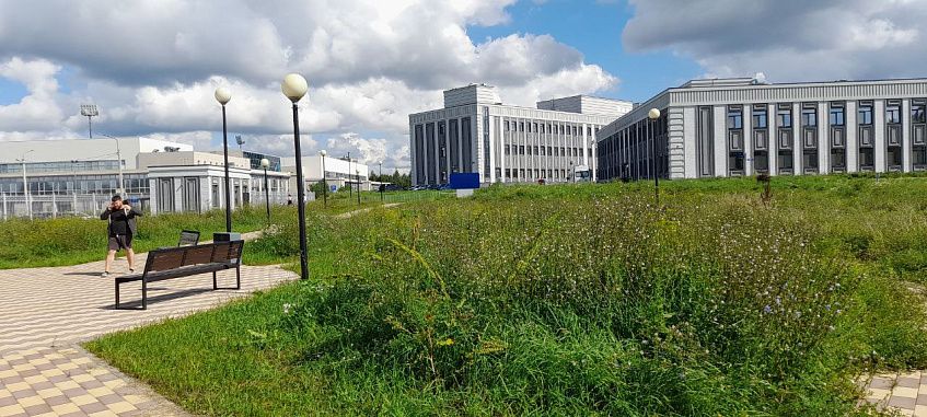 Территория Истринской больницы приходит в запустение и зарастает сорняками