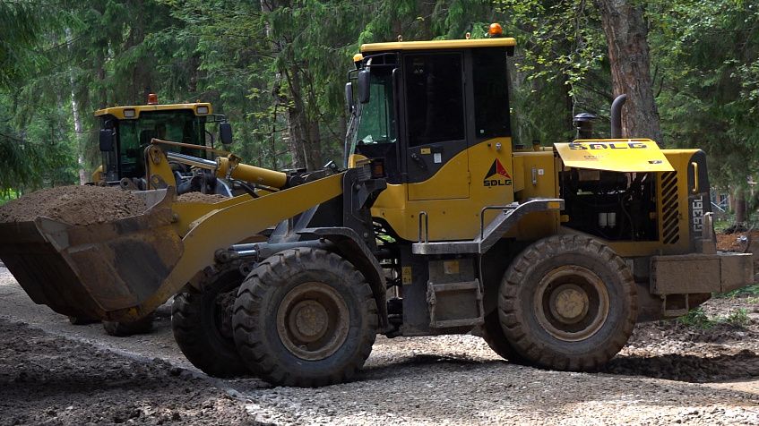 Как сейчас выглядит будущий лесопарк «Соколка»?