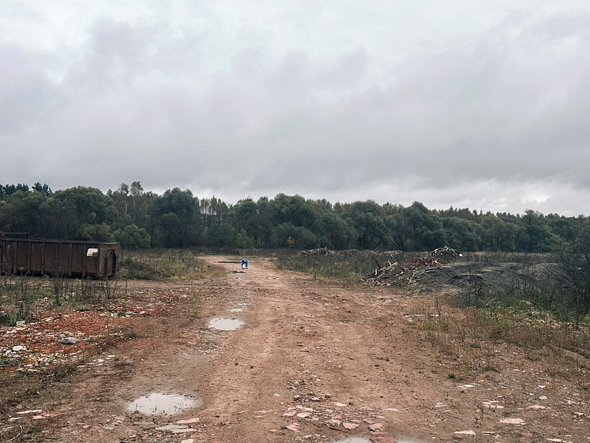 В пойме Истры вблизи Красновидово стало чище