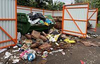 На модернизацию контейнерных площадок в округе выделят 3,5 миллиона