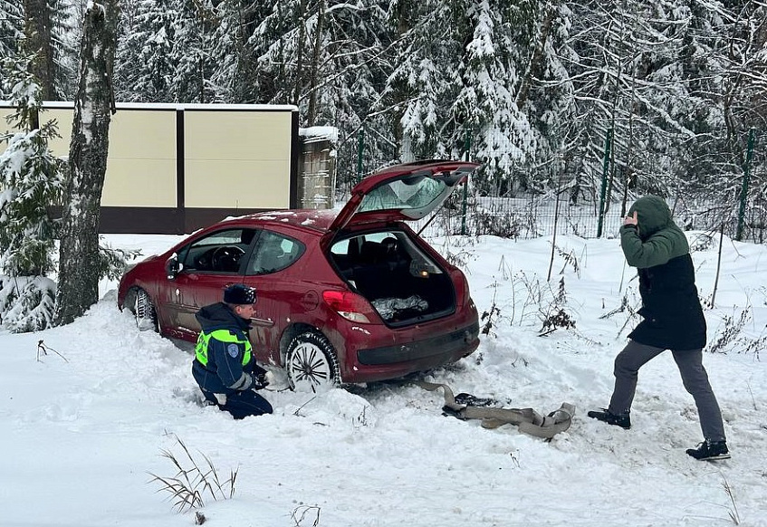 Полицейские спасли из снежного плена маму с двумя детьми