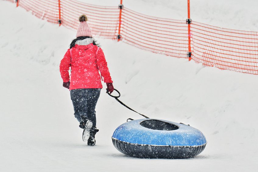 Обслуживание зимней горки в «Шишкином лесу» обойдётся бюджету в 1,5 миллиона