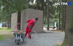 Ремонт и уборка в парке «Шишкин лес» будет стоить бюджету 44 миллиона рублей в год 