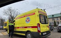 Истринская городская прокуратура взяла под контроль расследование уголовного дела о нападении собак на ребёнка в деревне Павловское