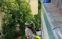 В Агрогородке ликвидировали осиное гнездо в многоквартирном доме