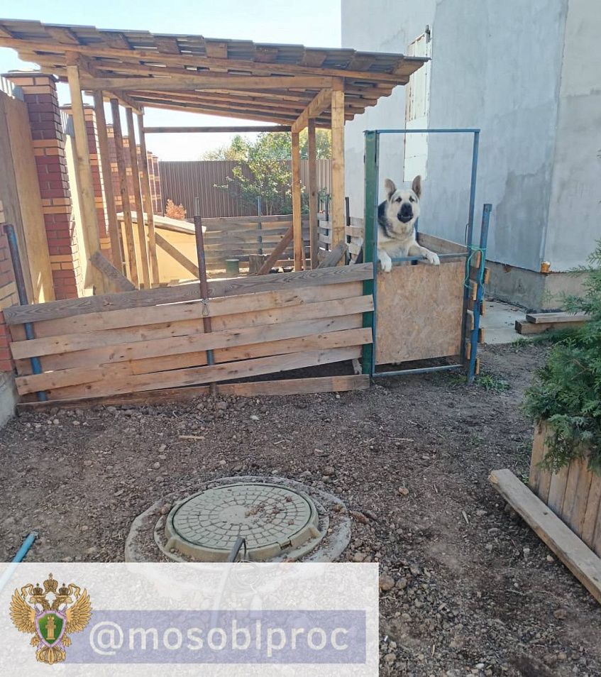 Хозяин собаки, покусавшей ребёнка в Агрогородке, выплатит миллион рублей