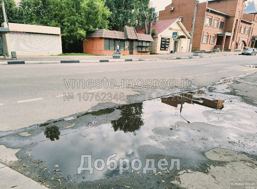 В центре Дедовска нашли частную лужу