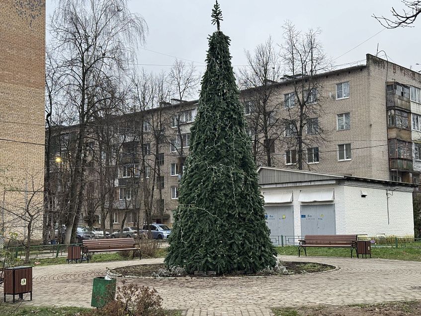 В Снегирях устанавливают ёлки