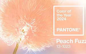 Pantone: «персиковый пушок» – главный цвет 2024 года