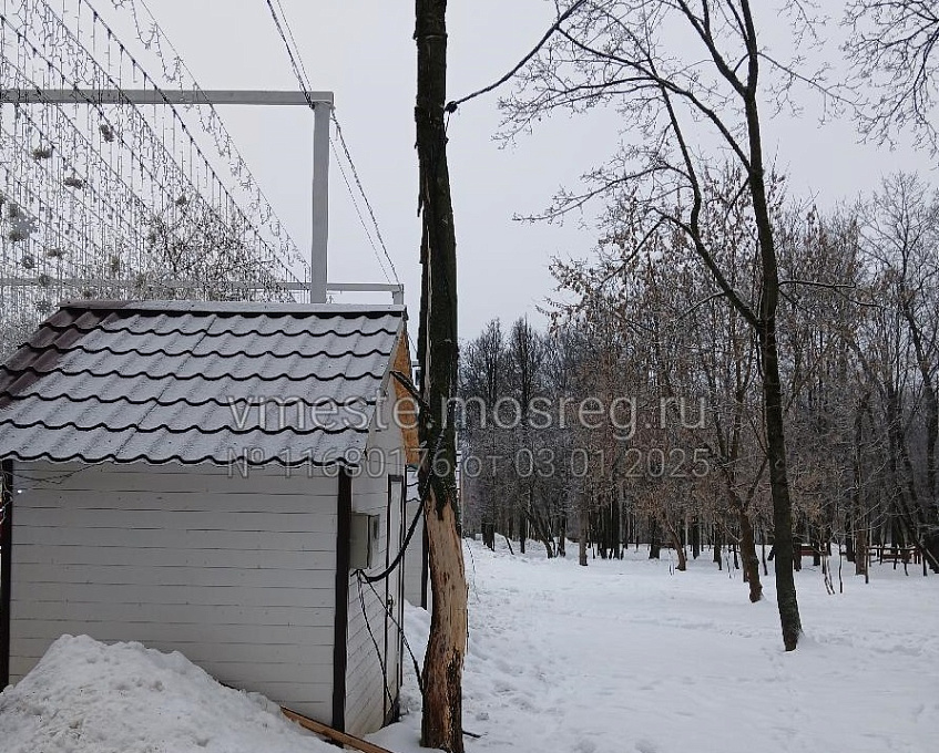 Гости парка в Истре пожаловались на пережатые стволы деревьев