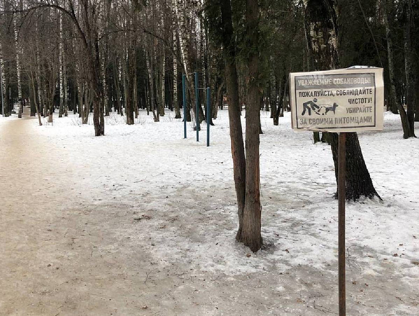 В Дедовске смягчили запрет на выгул собак в парке