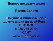 Покупаем акции «Полюс Золото» 