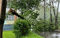 Ливень и ураган обрушились на Истру и окрестности