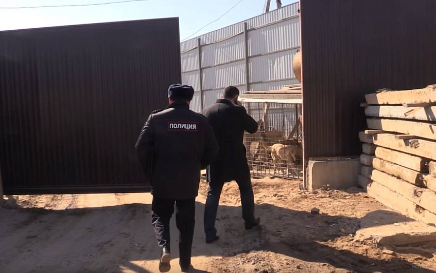 Областные чиновники помогли ликвидировать в Павловской Слободе 12 кустарных печей