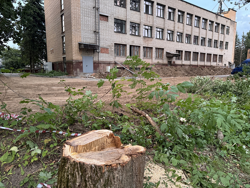 Вырубку деревьев в парке Дедовска назвали санитарной