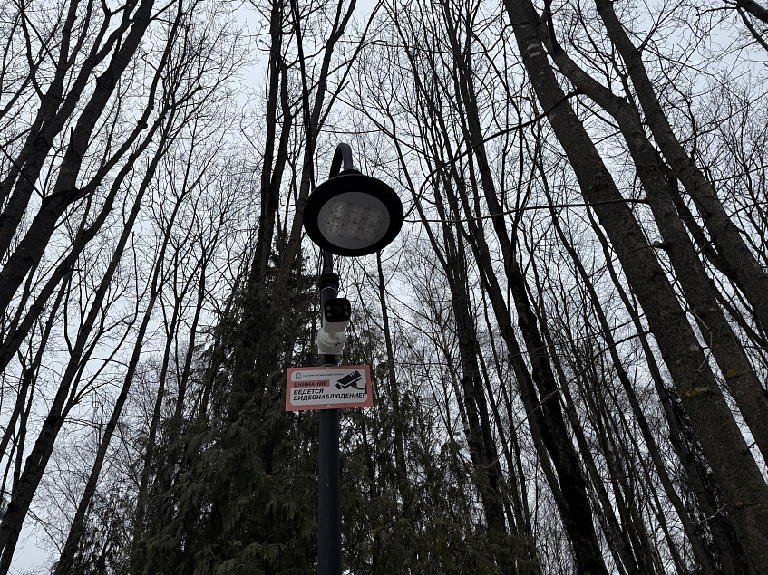 В парке «Гучково» и у пруда в Дедовске установили камеры  