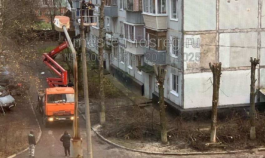 В Рождествено уродуют деревья, оставляя обрубленные стволы