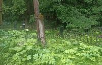 Кладбище на Фаворах заросло борщевиком