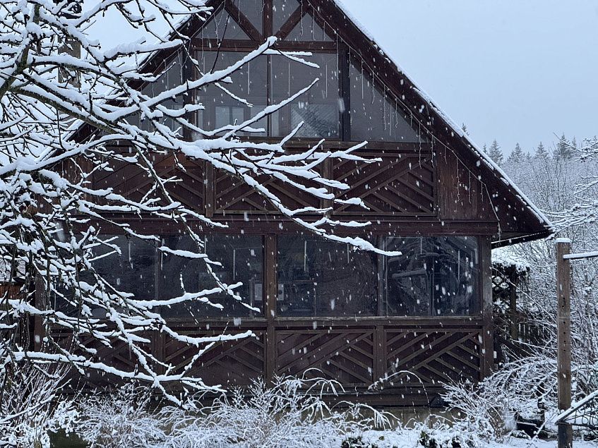В Истре вновь ожидается первый снег