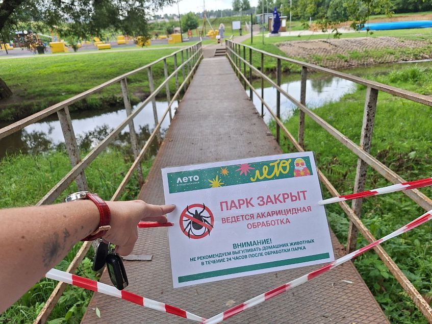 В Истре и Дедовске парки закрыты