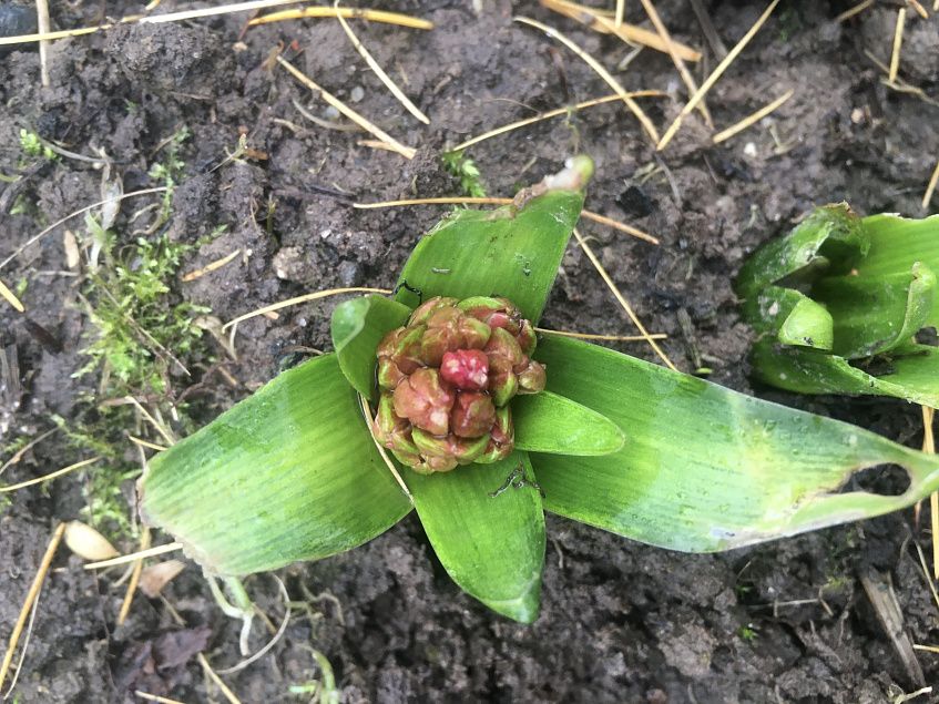 Осень не спешит уходить