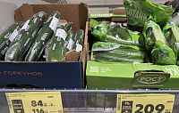 В Подмосковье вырастили более 22 тысяч тонн тепличных огурцов