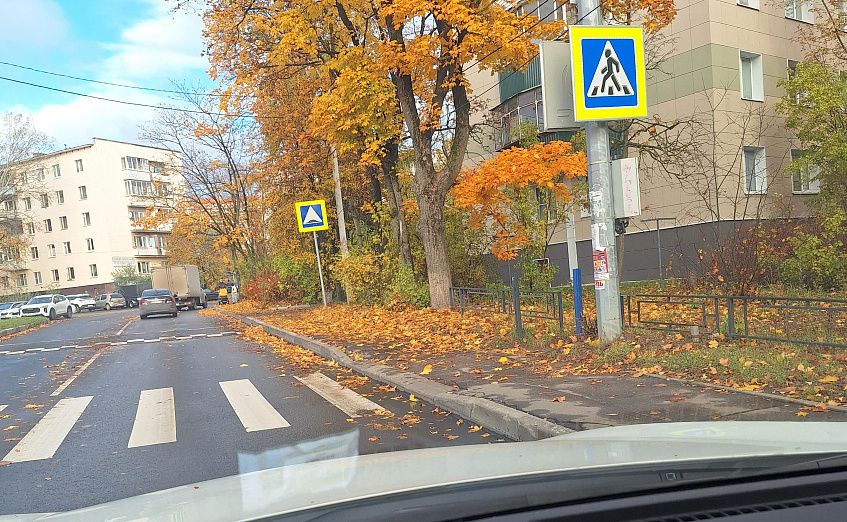 На фоне заваленного опавшей листвой города глава округа поделилась планами по подготовке к зиме