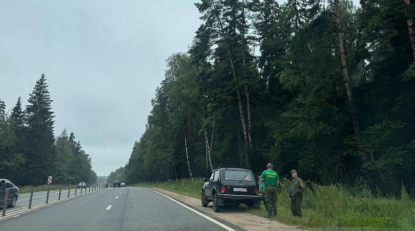 Лесники расчистят свыше 10 гектаров вдоль Волоколамского шоссе