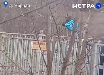 Мусор через забор: сотрудники «Мособлгаза» проявили изобретательность на субботнике