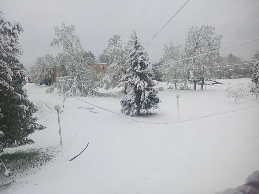 В «Россети Московский регион» введён особый режим работы из-за непогоды