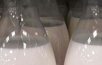 Роспотребнадзор выявил фальсифицированную молочную продукцию в Подмосковье 