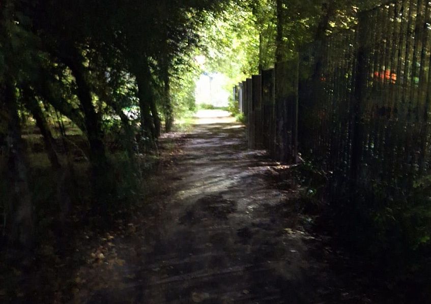 Жителям Истры придётся ходить в детский сад на ощупь